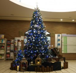 クリスマスツリーを飾りました お知らせ 新潟市音楽文化会館 クリスマスツリーを飾りました お知らせ 新潟市音楽文化会館