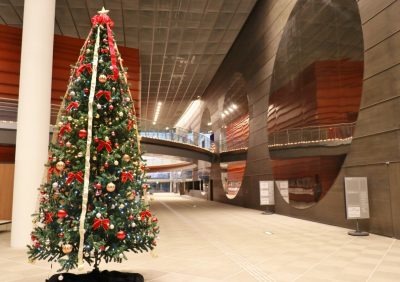 りゅーとぴあ館内にクリスマスツリーを飾りました。