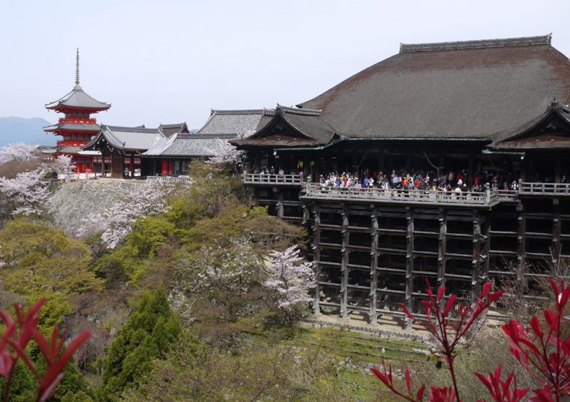 舞台は桜満開の京都、清水寺の画像