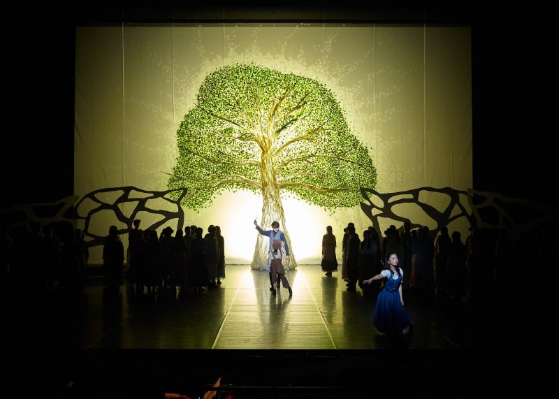 【公演記録写真】りゅーとぴあ開館20周年記念ミュージカル『シャンポーの森で眠る』の画像