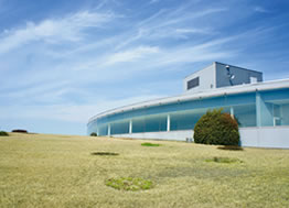 屋上庭園
