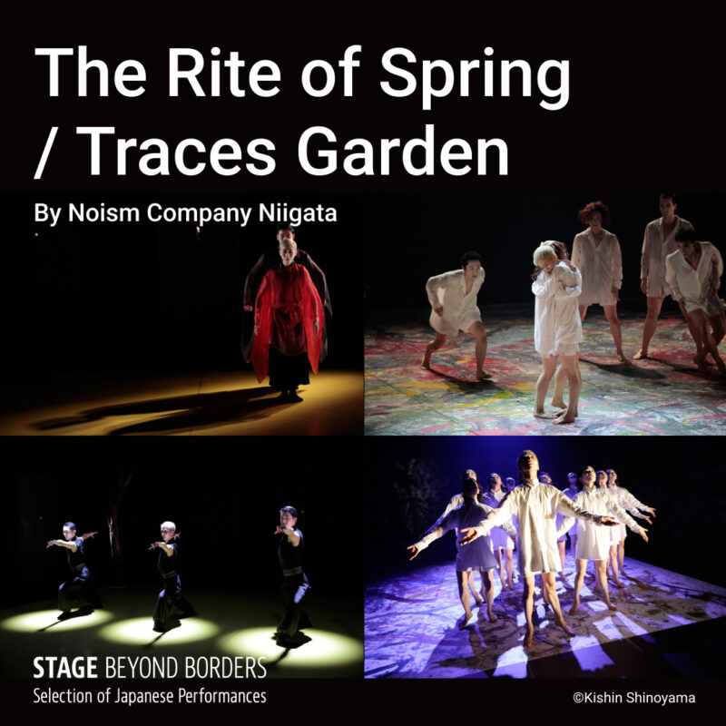 Noism『春の祭典』『残影の庭』STAGE BEYOND BORDERSでの配信決定の画像