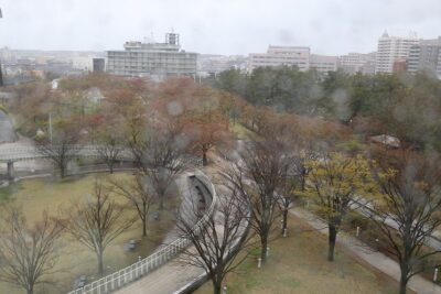 サクラ日記（天空のお花見会）の画像