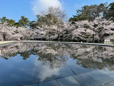 【入場無料】能楽堂を開放します！―4/12(水)・13(木)「天空のお花見会」の画像