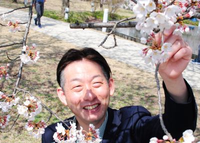 サクラ日記（天空のお花見会）