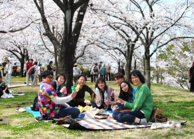 りゅーとぴあ職員の特権？！春のお花見ピクニック決行の巻。