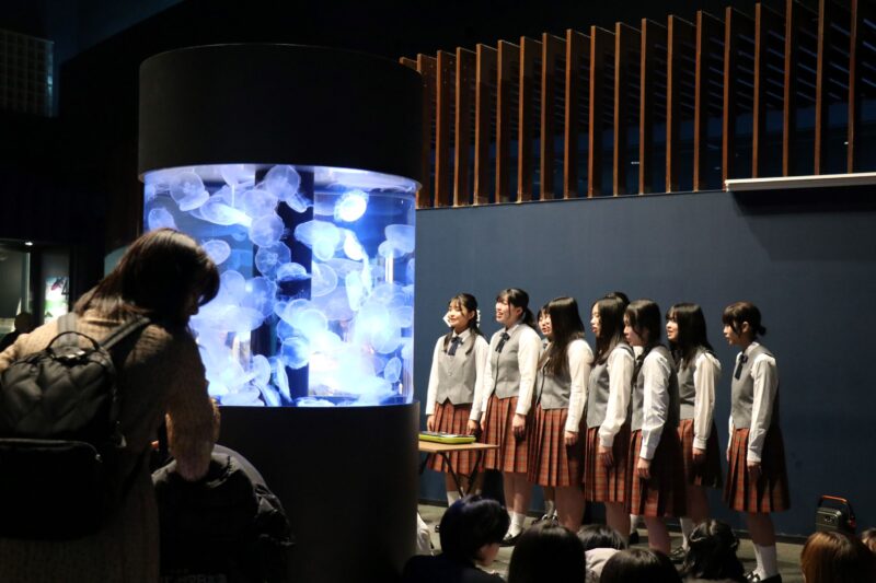 新潟市ジュニア音楽教室がマリンピア日本海で出張演奏！の画像