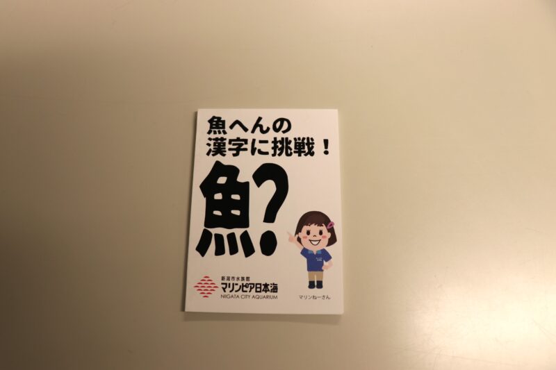 新潟市ジュニア音楽教室がマリンピア日本海で出張演奏！の画像