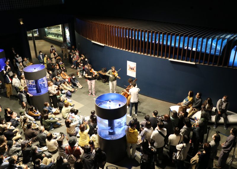 【演奏曲紹介】ヴィジョン弦楽四重奏団 in マリンピア日本海の画像