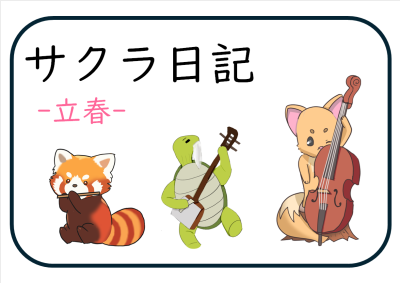 サクラ日記（立春）　