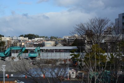 サクラ日記（啓蟄）の画像