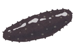 人類で初めてナマコを食べた人の好奇心