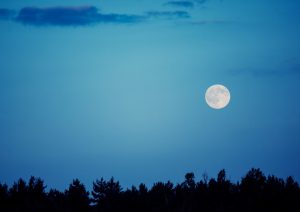 秋の夜長に、お月見はいかがですか？